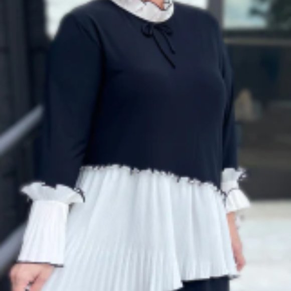 ISO Zadie B's Valentina Pleated Top in 3X - Picture 1 of 1
